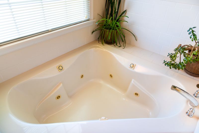 Top Bathtub Installation Companies in South Lyon, MI
